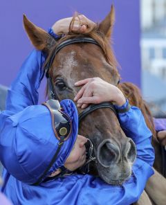 Space Blues und William Buick. Foto: Eclipsesportswire