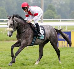 Zaro am 10.5.2018 in Dortmund - Foto: Dr. Jens Fuchs