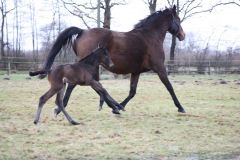 Zawadi, die rechte Schwester von Zweigelt, im Alter von 12 Stunden. Foto: privat)