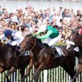 Rodaballo und José-Luis Martinez-Tejera (Mitte) können zum Kurs von 6,8:1 die Favoritinnen Jin Jin (links 2,8:1) und Liberty London (rechts 2,8:1) in Schach halten. ©galoppfoto - Frank Sorge