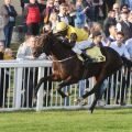 Ramazotti behält seine weiße Weste und siegt mit Eduardo Pedroza im Ferdinand-Leisten Memorial für Andreas Wöhler und Gestüt Fährhof - www.galoppfoto.de