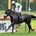 Rostam kommt als heißer Favorit zum Zuge. www.galoppfoto.de - JJ Clark