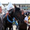 Weltstar mit Trainer Markus Klug und Jockey Adrie de Vries nach dem IDEE 149. Deutschen Derby im Absattelring. www.galoppfoto.de - Frank Sorge