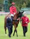 Bateel gewinnt den Prix Vermeille am 9.10.2017 in Chantilly - Foto: Dr. Jens Fuchs