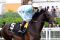 Fiorente mit Jim Doyle 2012 in Royal Ascot. www.galoppfoto.de - Sandra Scherning