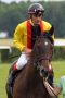 Global Storm mit Alexander Pietsch nach dem Sieg am 12.06.2016 in Hoppegarten. www.galoppfoto.de - Sabine Brose