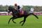 Grand Vintage mit Stephane Pasquier beim Aufgalopp zum Prix du Moulin in Longchamp 2014. Foto: Dr. Jens Fuchs