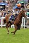 Mars - hier mit Richard Hughes beim Aufgalopp zum  Epsom Derby - wird zukünftig von Mike de Kock trainiert. www.galoppfoto.de – Petr Guth