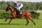 Salve Aurora mit Andrasch Starke beim Aufgalopp in Hoppegarten 2010. www.galoppfoto.de - Sabine Brose