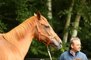 Emma und der Trainer Juli 2016