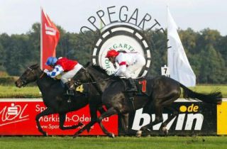 Waleria (V. Schulepov) gewinnt in Hoppegarten die Gr. III-Prüfung Preis der Deutschen Einheit 2007. www.galoppfoto.de