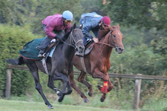 Scalo und Jammy Shot Derby-Galopp 2010 Juli