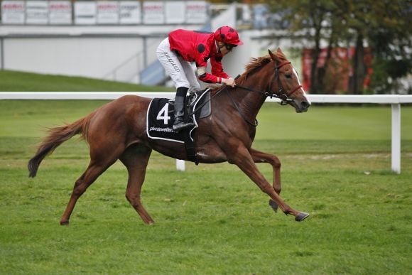 Candy Crush 2019-11-03 München  Foto: turfstock.com