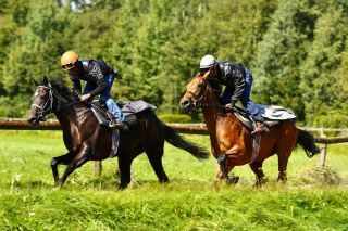 Ciocco Wonder (li) hier mit La Saldana