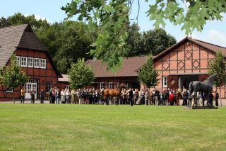 Das Gestüt Fährhof in Sottrum bei Bremen holt sich das begehrte Züchterchampionat 2010. Foto www.galoppfoto.de