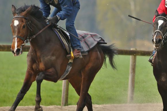 Deauville Crystal 2016-04