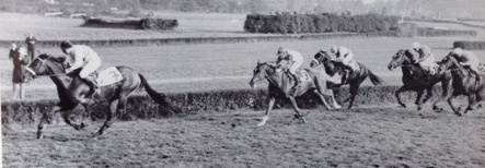 Der Sieger im 1. Preis von Europa Opponent (Hein Bollow) gewann leicht vor Wild Hun, Novalis und Spielhahn. Foto: Archiv