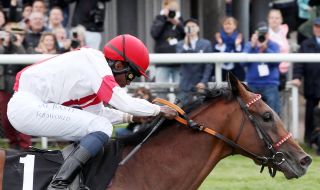 Laccario mit Eddie Pedroza Derby 2019  galoppfoto.de