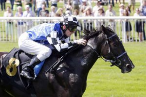 Double Dream 2016-08-13 Hoppegarten  galoppfoto.de