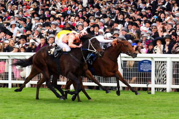 Knapp, aber Sieg Nummer 22 ist geschafft: Black Caviar (links) mit Luke Nolen gewinnt die Diamond Jubilee Stakes mit Nase vor Moonlight Cloud. www.galoppfoto.de - Sandra Scherning