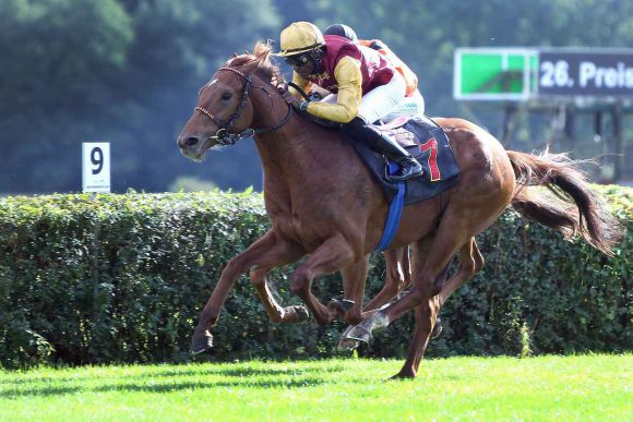 Warring States 2016-10-03 Hoppegarten  Foto: Rühl