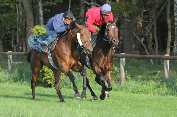 Winafortune und Monsieur de Frappe (v. li.) 2012 Mai