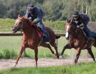 Kings Hall (li) und Hideki Danon (re) August 2011